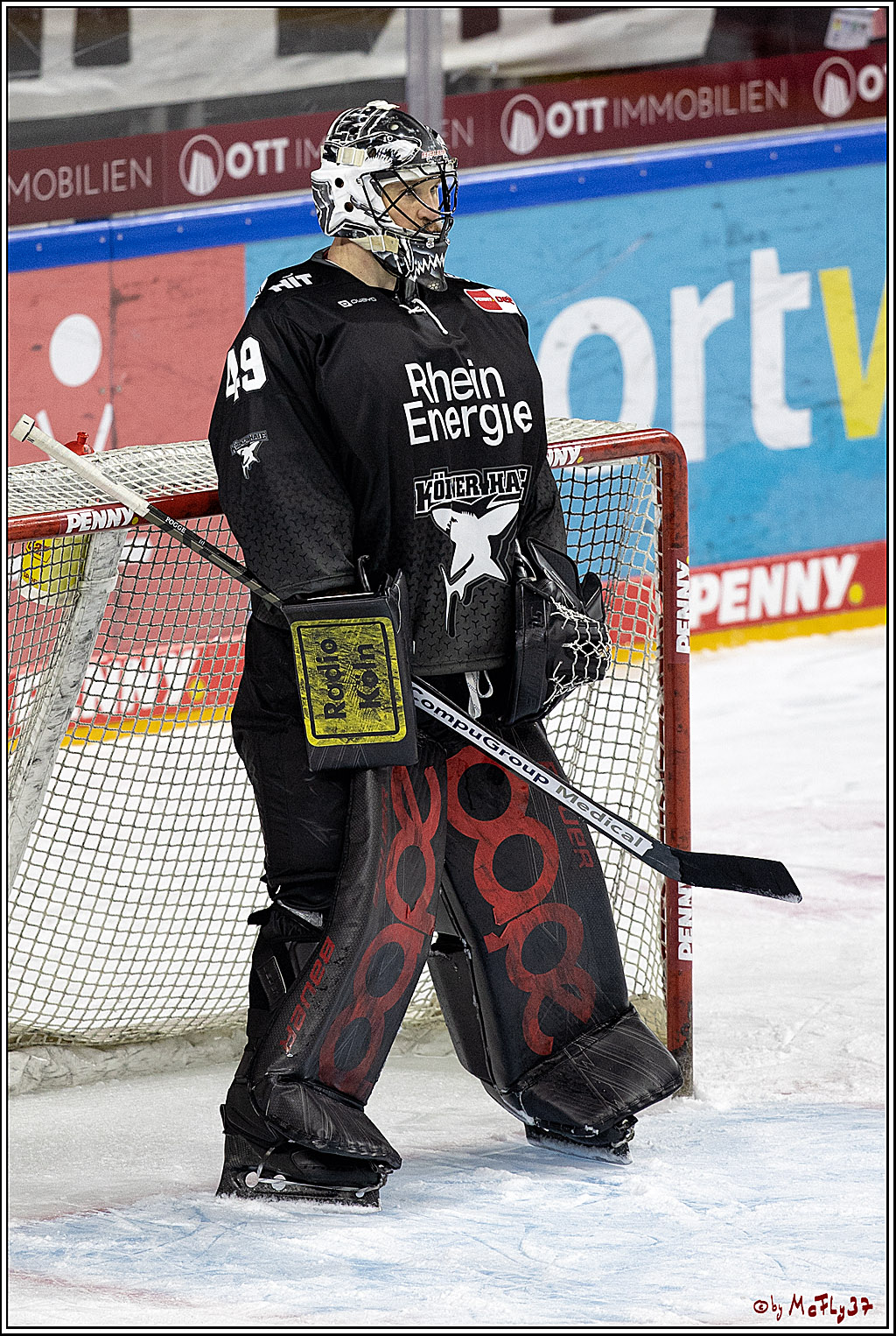 PENNY DEL;  Koelner Haie - Adler Mannheim; Koeln, 08.04.2021